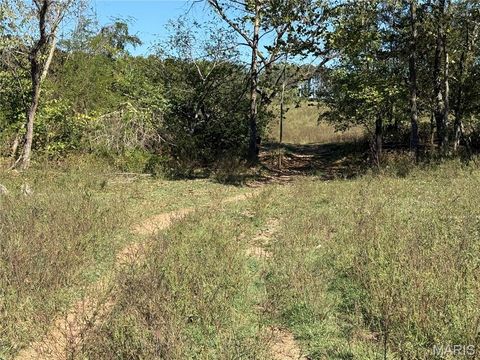 Tiny photo for 0 Cr 157, Des Arc, MO 63636 (MLS # 25069294)
