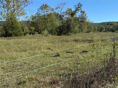 Tiny photo for 0 Cr 157, Des Arc, MO 63636 (MLS # 25069294)