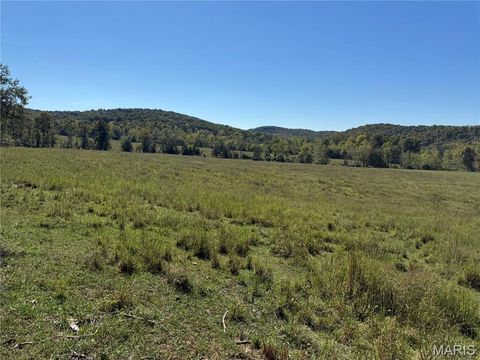 Tiny photo for 0 Cr 157, Des Arc, MO 63636 (MLS # 25069294)
