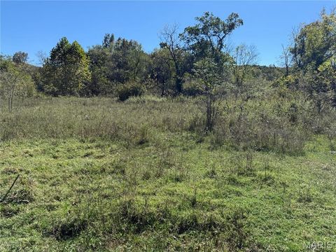 Tiny photo for 0 Cr 157, Des Arc, MO 63636 (MLS # 25069294)