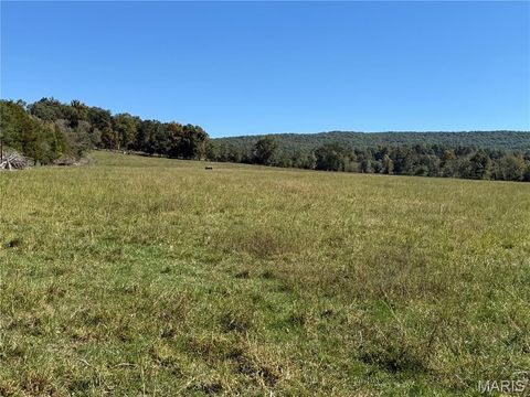 Tiny photo for 0 Cr 157, Des Arc, MO 63636 (MLS # 25069294)