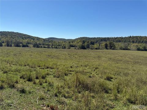 Tiny photo for 0 Cr 157, Des Arc, MO 63636 (MLS # 25069294)