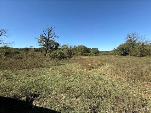 Tiny photo for 0 Cr 157, Des Arc, MO 63636 (MLS # 25069294)