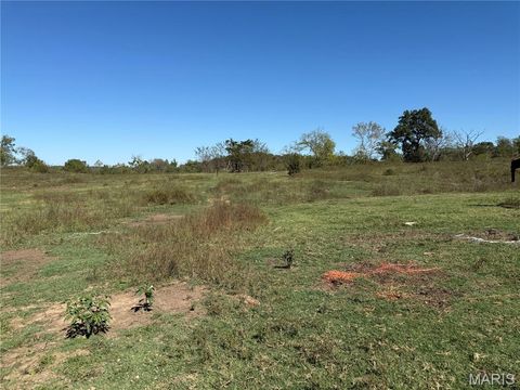 Tiny photo for 0 Cr 157, Des Arc, MO 63636 (MLS # 25069294)
