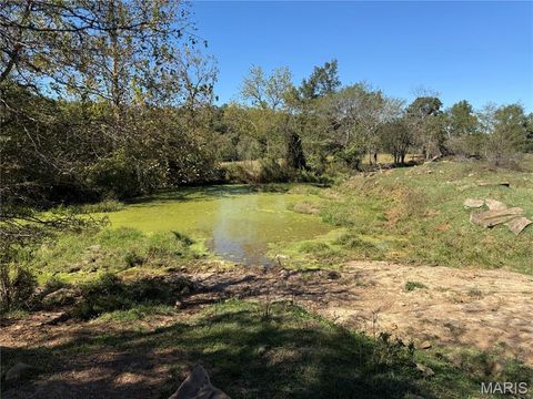 Tiny photo for 0 Cr 157, Des Arc, MO 63636 (MLS # 25069294)