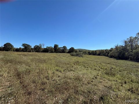 Tiny photo for 0 Cr 157, Des Arc, MO 63636 (MLS # 25069294)