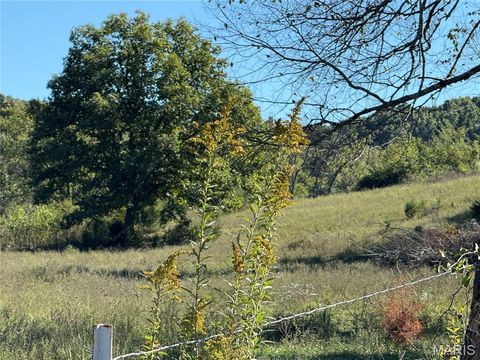 Tiny photo for 0 Cr 157, Des Arc, MO 63636 (MLS # 25069294)