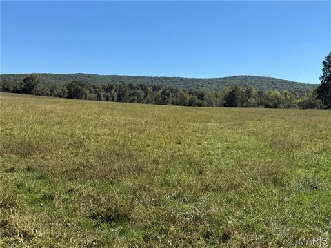 Photo of 0 Cr 157, Des Arc, MO 63636 (MLS # 25069294)