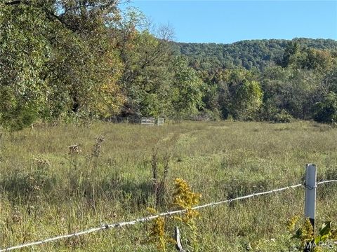 Tiny photo for 0 Cr 157, Des Arc, MO 63636 (MLS # 25069294)