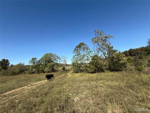 Tiny photo for 0 Cr 157, Des Arc, MO 63636 (MLS # 25069294)