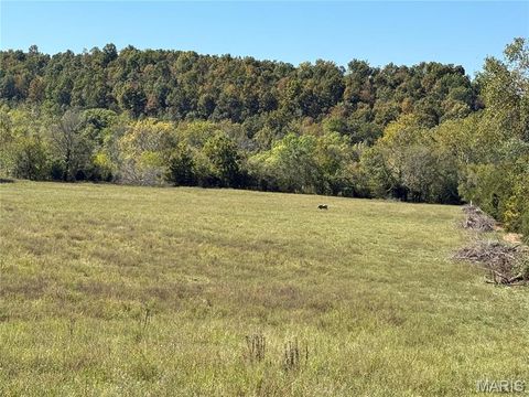 Tiny photo for 0 Cr 157, Des Arc, MO 63636 (MLS # 25069294)