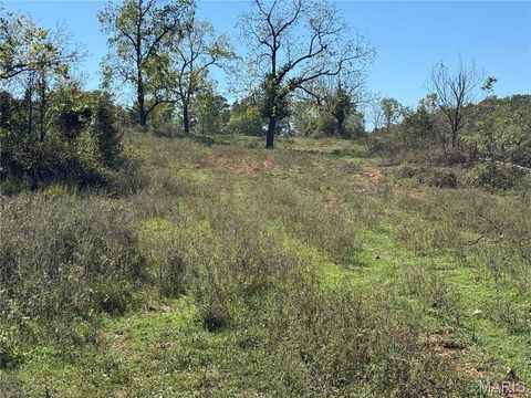 Tiny photo for 0 Cr 157, Des Arc, MO 63636 (MLS # 25069294)