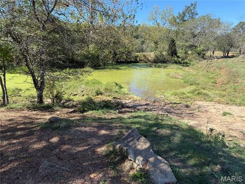 Tiny photo for 0 Cr 157, Des Arc, MO 63636 (MLS # 25069294)