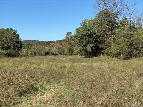 Tiny photo for 0 Cr 157, Des Arc, MO 63636 (MLS # 25069294)