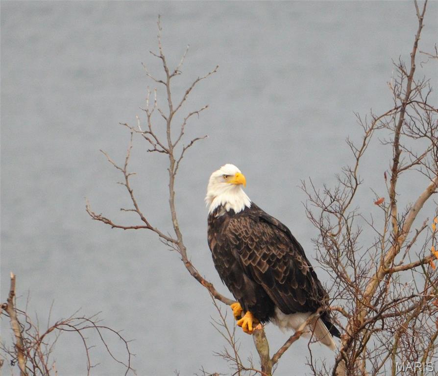 Emerald Pointe - Residential