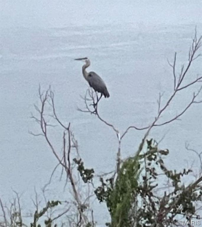 Emerald Pointe - Residential