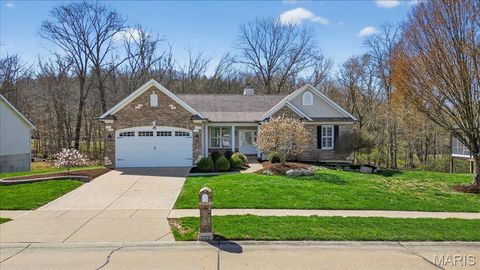 Photo of 146 Silverstone Circle, Byrnes Mill, MO 63051 (MLS # 26016440)