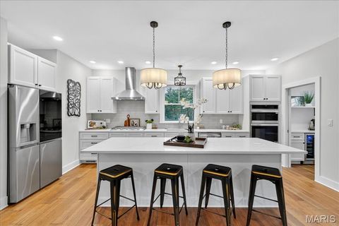 Tiny photo for 814 Holland Avenue, Webster Groves, MO 63119 (MLS # 25067697)