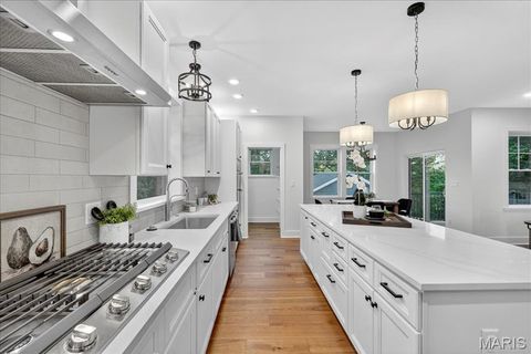 Tiny photo for 814 Holland Avenue, Webster Groves, MO 63119 (MLS # 25067697)