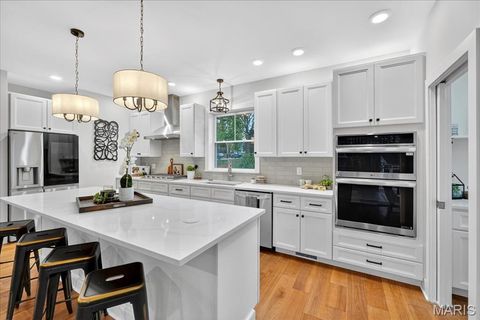 Tiny photo for 814 Holland Avenue, Webster Groves, MO 63119 (MLS # 25067697)