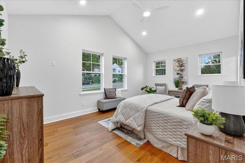 Tiny photo for 814 Holland Avenue, Webster Groves, MO 63119 (MLS # 25067697)
