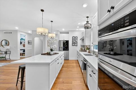 Tiny photo for 814 Holland Avenue, Webster Groves, MO 63119 (MLS # 25067697)