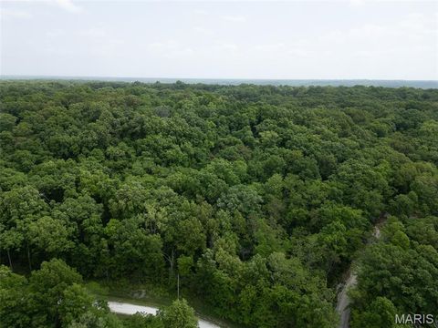 Tiny photo for 40 Winding Lane, Troy, MO 63379 (MLS # 25030714)