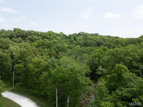 Tiny photo for 40 Winding Lane, Troy, MO 63379 (MLS # 25030714)