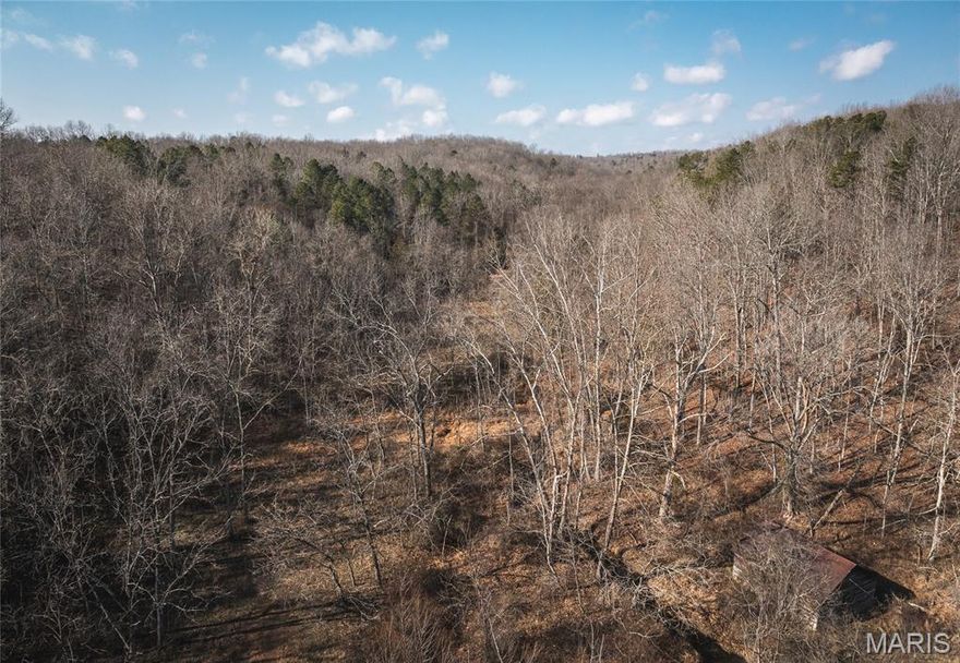 Affordable small-acreage tract with county road frontage and easy access. This 11.5 M/L acre parcel offers a great mix of woods and privacy with several potential building or cabin sites. The property lays well with gently rolling terrain and would make an excellent weekend getaway, hunting tract, or future homesite. Located just off County Road 404, this tract provides seclusion without sacrificing accessibility.