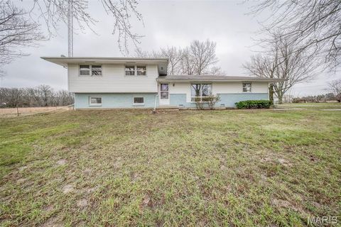Photo of 3901 County Road 4110, Salem, MO 65560 (MLS # 26012254)