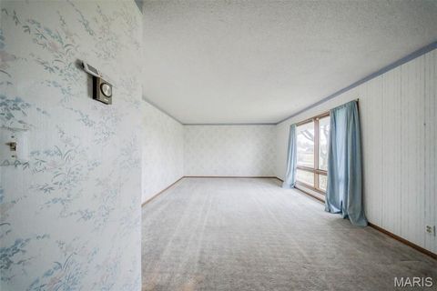 Tiny photo for 3901 County Road 4110, Salem, MO 65560 (MLS # 26012254)