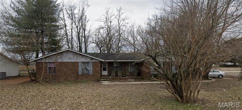 Photo of 601 E Cedar Street, Bertrand, MO 63823 (MLS # 26011121)