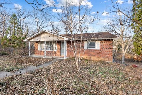 1410 Stoddard Street Cape Girardeau MO 63701