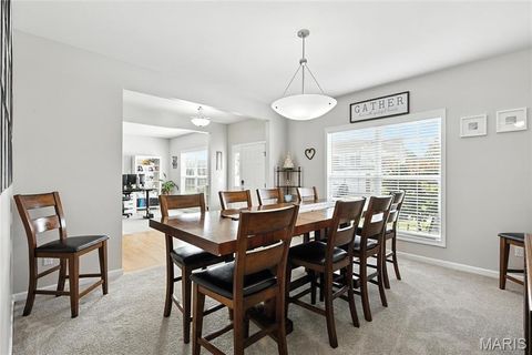 Tiny photo for 258 Stiles Drive, Wentzville, MO 63385 (MLS # 25068283)