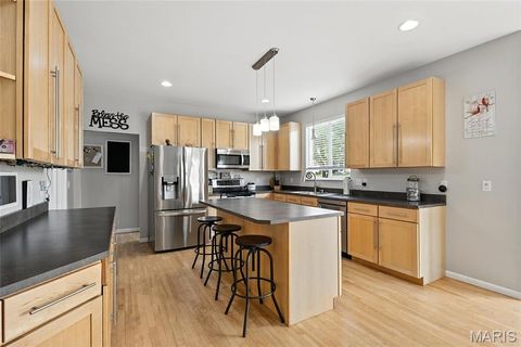 Tiny photo for 258 Stiles Drive, Wentzville, MO 63385 (MLS # 25068283)