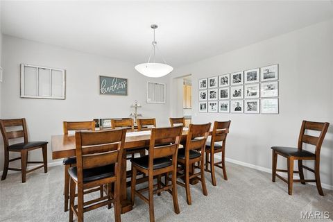Tiny photo for 258 Stiles Drive, Wentzville, MO 63385 (MLS # 25068283)