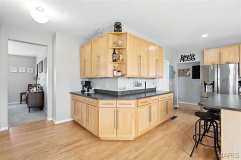 Tiny photo for 258 Stiles Drive, Wentzville, MO 63385 (MLS # 25068283)