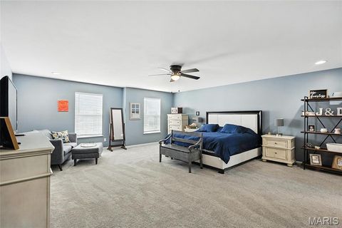 Tiny photo for 258 Stiles Drive, Wentzville, MO 63385 (MLS # 25068283)