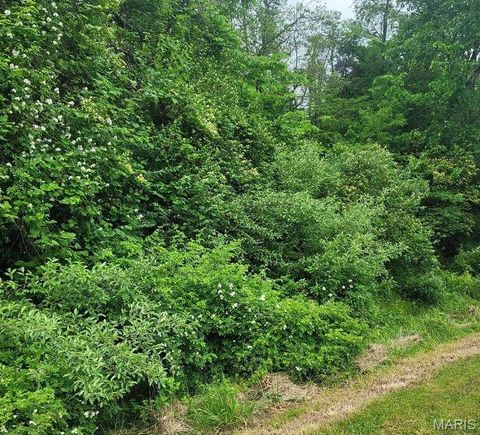 Tiny photo for 16354 Clayton Road, Wildwood, MO 63011 (MLS # 26017197)