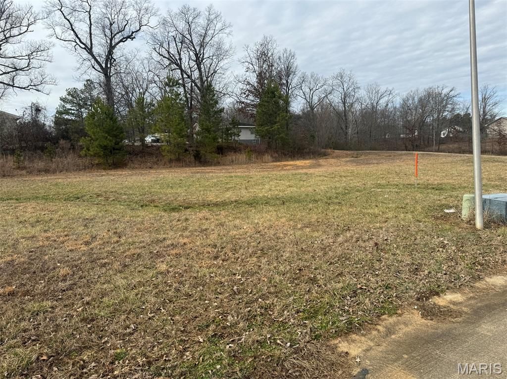 Photo of 17 Karmen Lane, Poplar Bluff, MO 63901 (MLS # 26013692)