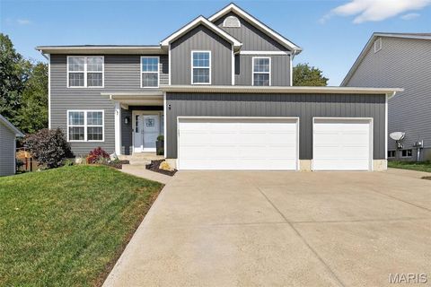 Photo of 543 Great Oaks Meadow Drive, Wentzville, MO 63385 (MLS # 25063681)