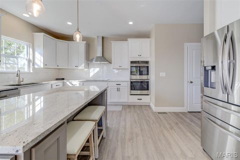 Tiny photo for 1139 Duxbury Lane Lane, OFallon, MO 63366 (MLS # 25074051)