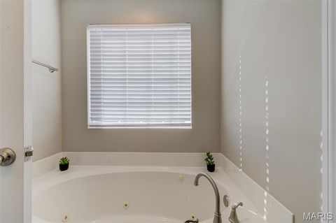 Tiny photo for 1139 Duxbury Lane Lane, OFallon, MO 63366 (MLS # 25074051)