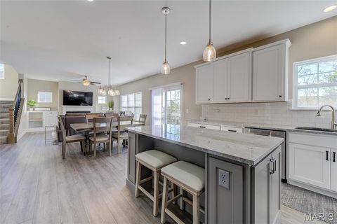 Tiny photo for 1139 Duxbury Lane Lane, OFallon, MO 63366 (MLS # 25074051)