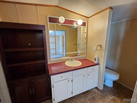 Tiny photo for 32860 Waverly Street #37, La Grange, MO 63448 (MLS # 26046920)