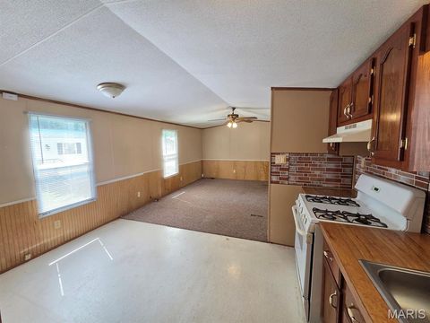 Tiny photo for 32860 Waverly Street #37, La Grange, MO 63448 (MLS # 26046920)