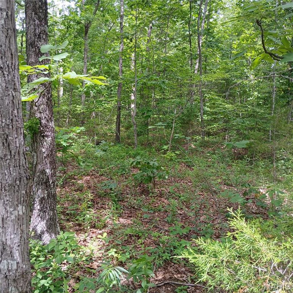 Photo of 3656 Imperial, Bismarck, MO 63624 (MLS # 26032575)