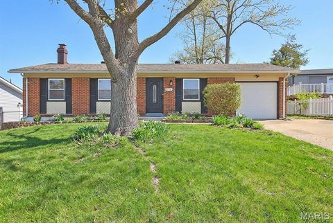 Photo of 236 Tapestry Drive, Mehlville, MO 63129 (MLS # 26012615)