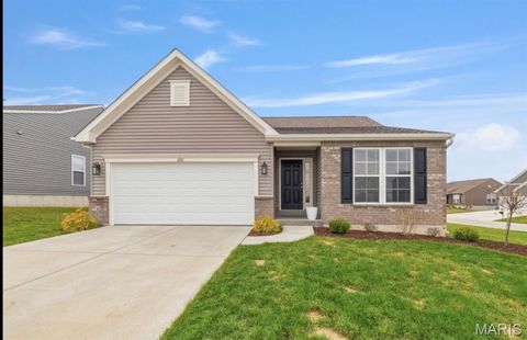 2131 Central Park Drive Troy MO 63379