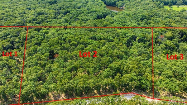 31300 CORRI LN, WRIGHT CITY, MO 63390 - Image a962d50a37d7680e9c68bd1fcd08ff39/1903119096